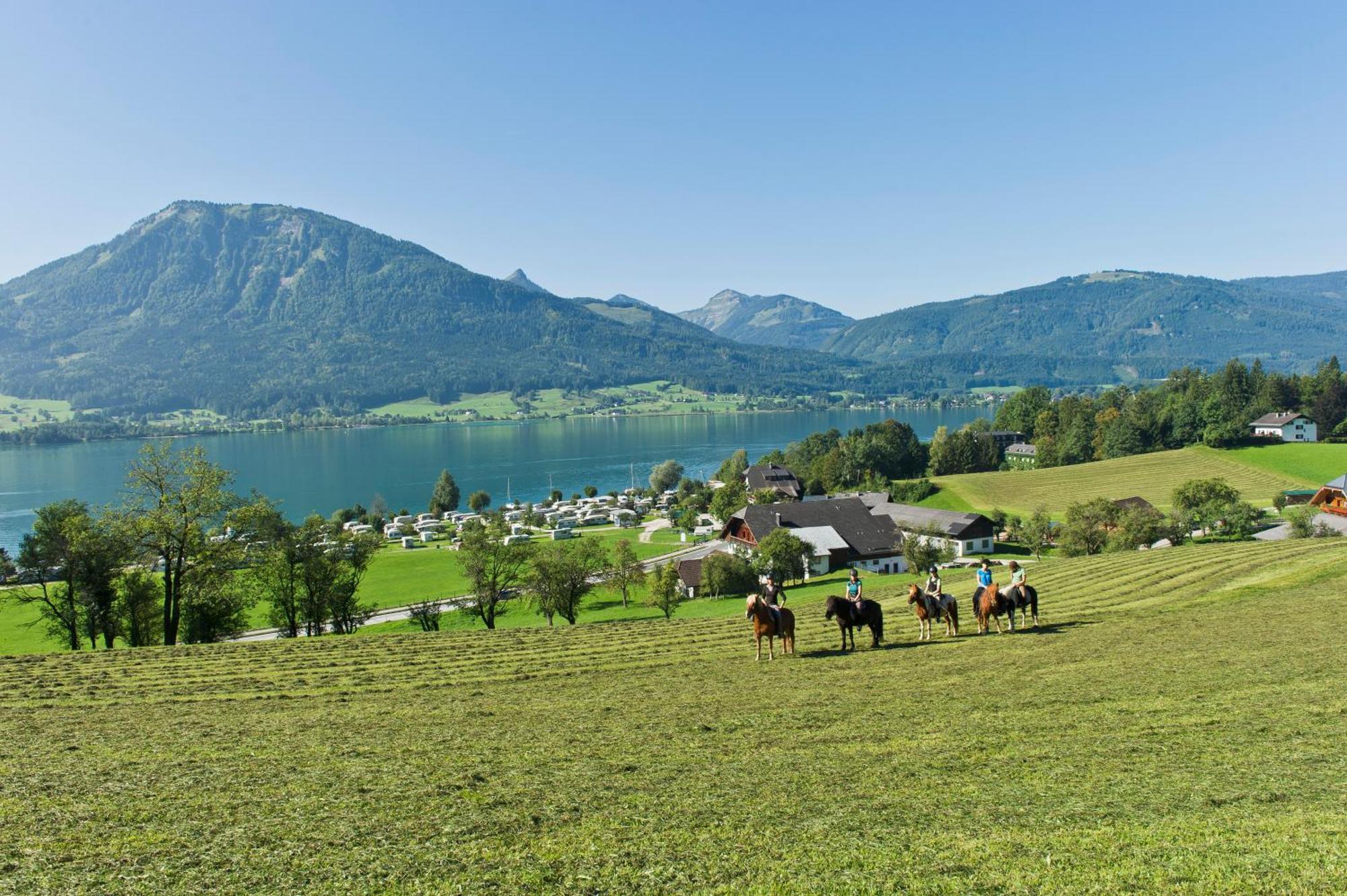 Reiterhof Suassbauer Villa Saint Wolfgang Eksteriør billede