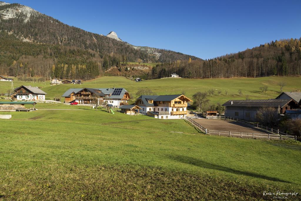 Reiterhof Suassbauer Villa Saint Wolfgang Eksteriør billede